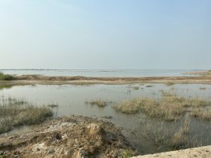 Shallow ponds in the arid north Gujarat region. Some vegetation and rocks peak out of the water.