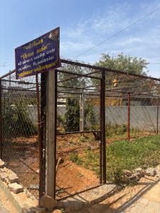 Kitchen Garden at Bobha Primary School