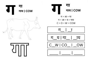 A page from the workbook I made giving the example of a cow. An outshine of a cow with the Gojri, Hindi, and English language exercises accompanies the drawing.