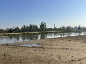 A small and shallow river with a sandy bank and trees on the opposite bank.