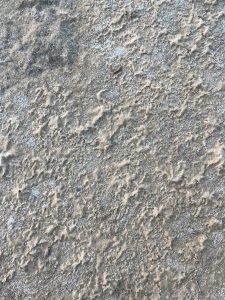 Sandy soil with salt crust covering.