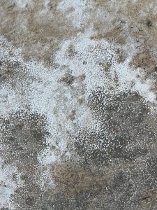Salt crystals mixed with dirt.